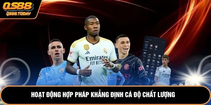 Hoạt động hợp pháp khẳng định cá độ chất lượng 