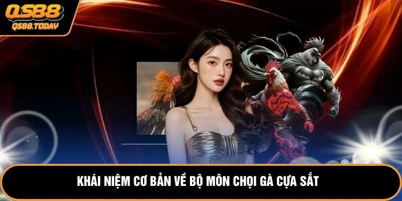 Khái niệm cơ bản về bộ môn chọi gà cựa sắt